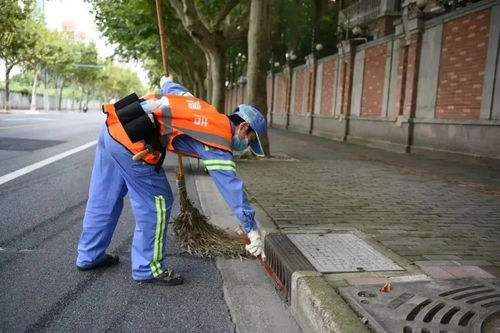 长宁这些高标准保洁区域 道路 超美,有你家附近的吗