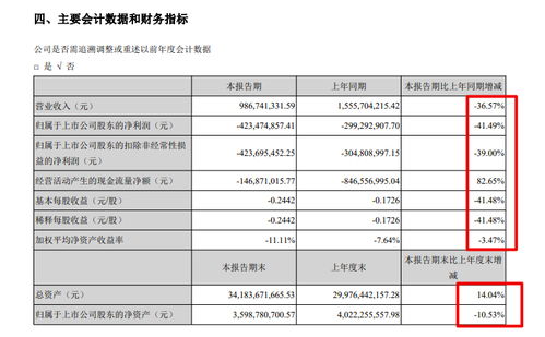 南国置业上半年毛利率 28.7 归母净利亏4.23亿同比下降41.5